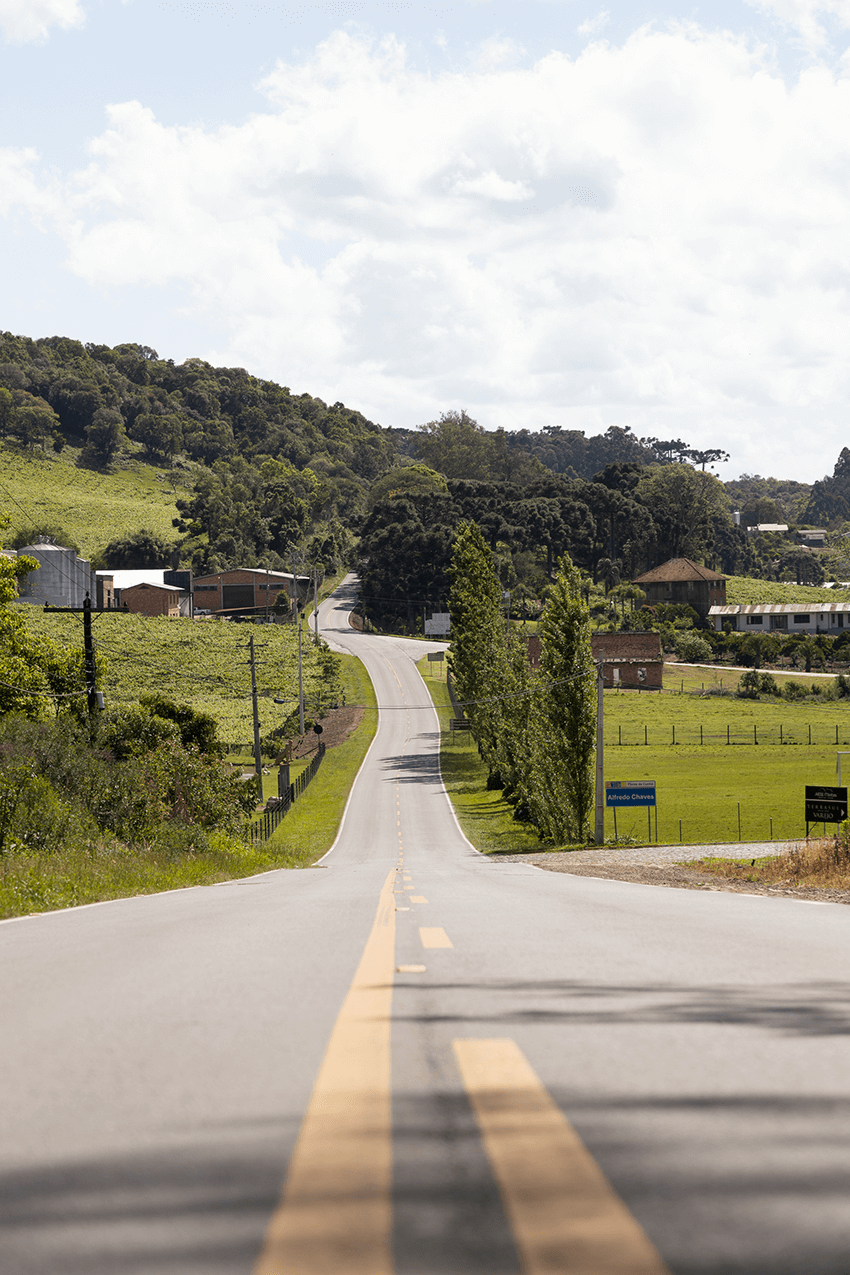 Caminhos do Alfredo Enoturismo Rural