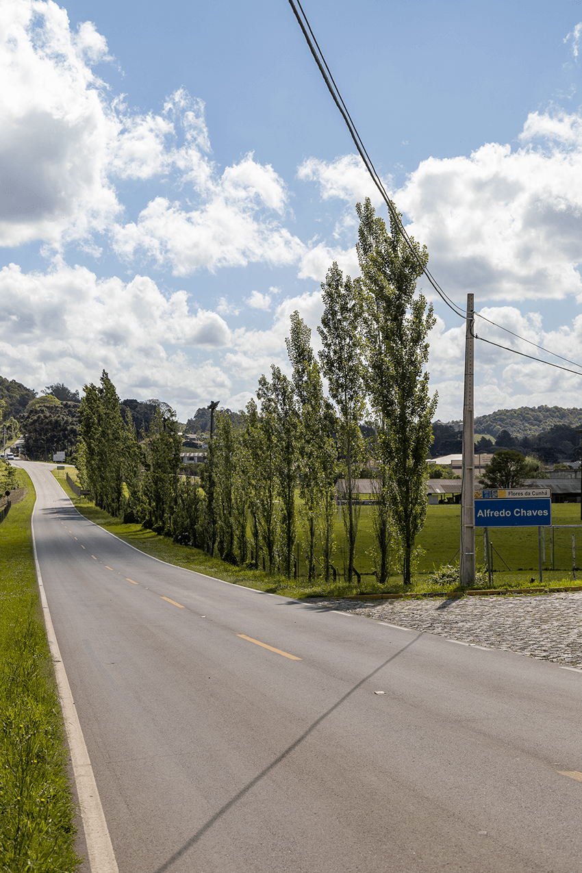 Caminhos do Alfredo Enoturismo Rural
