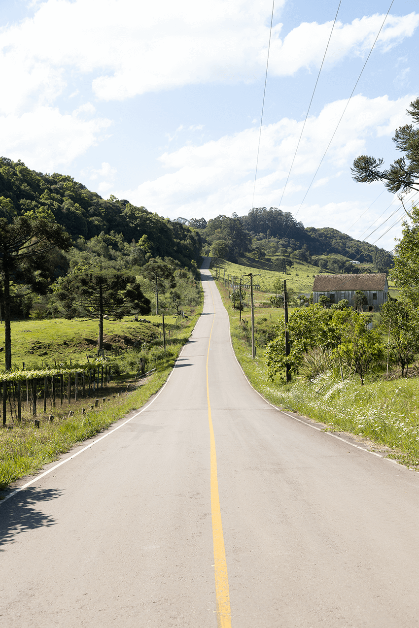 Caminhos do Alfredo Enoturismo Rural